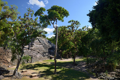 Visita Ruinas de Copán