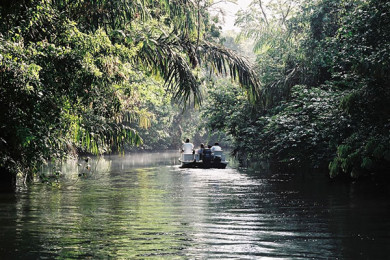 Navegación por los canales de Tortuguero